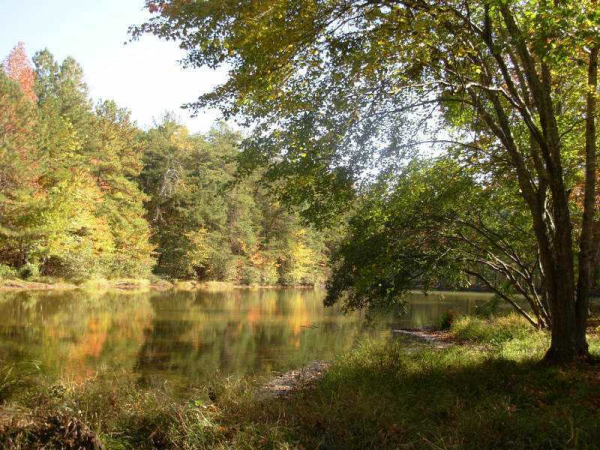 132 Dove Street, Ball Ground, GA 30107 