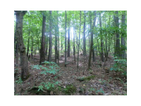 999999 James Dupree Court, Acworth, GA 30102 