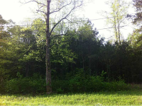 1945 Kelly Bridge Road, Dawsonville, GA 30534 