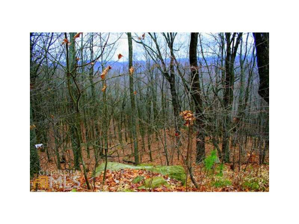 0 Mountainside Drive, Cleveland, GA 30528 