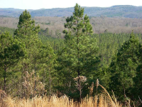 0 Townsend Teague Road, Rydal, GA 30171 