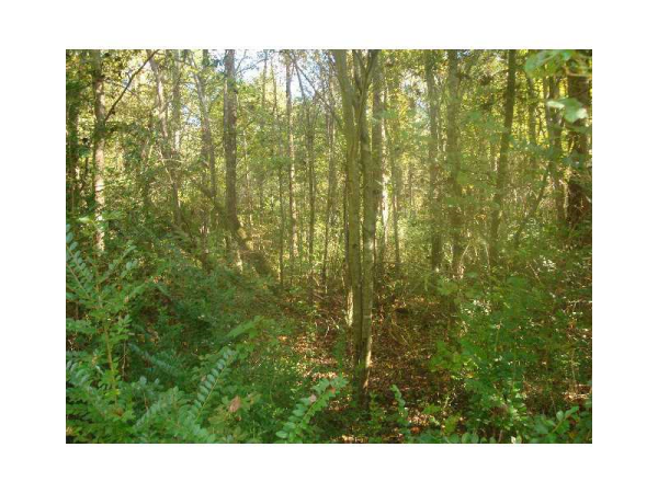 0 Tyree Road, Winston, GA 30187 