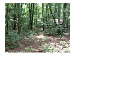 0 Ridge Road, Dawsonville, GA 30534 