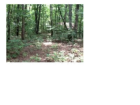 0 Ridge Road, Dawsonville, GA 30534 