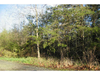 7023 Pony Lake Road, Dahlonega, GA 30533 