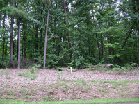 4 Lower Burris Road, Canton, GA 30114 