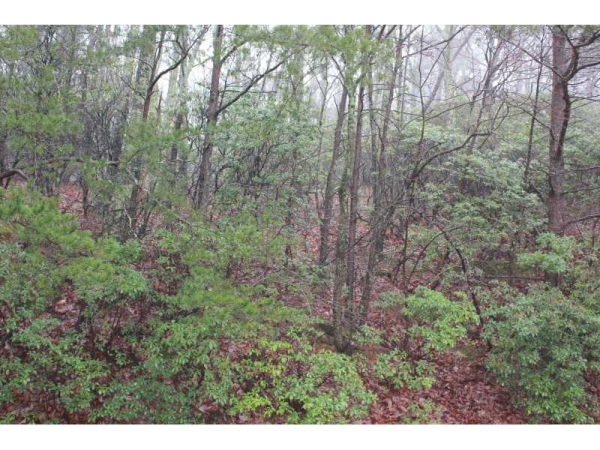 0 Locust Trail, Jasper, GA 30143 