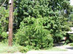 0 Hawthorne Avenue, Smyrna, GA 30080 