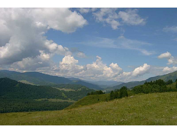 115 Springfield Place, Jasper, GA 30143 