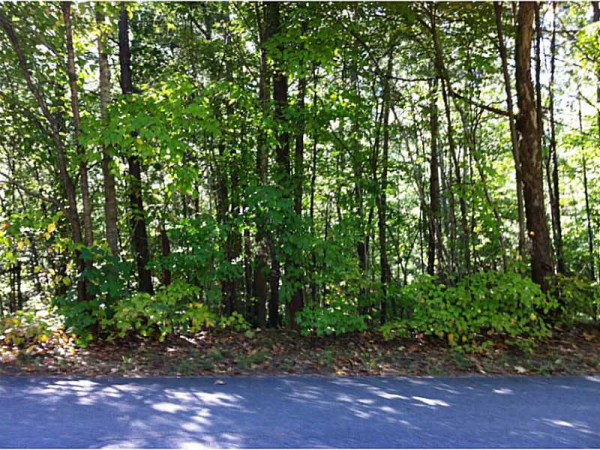 12 Horseshoe Loop, Kingston, GA 30145 