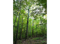 0 Campbellton Redwine Highway Road, Chattahoochee Hills, GA 30268 