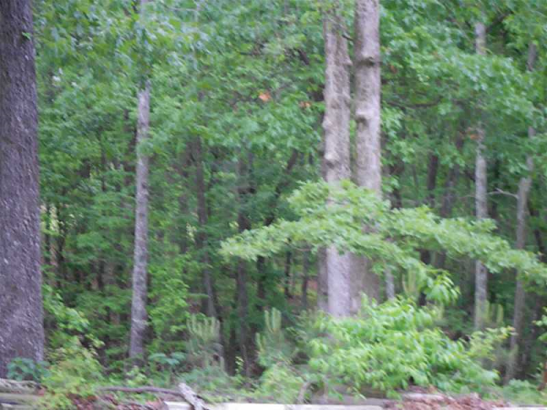 0 Wilson Road, Douglasville, GA 30135 