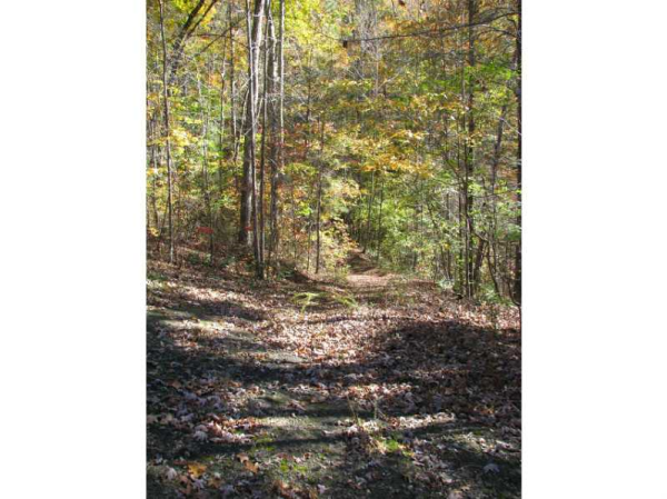 0 Apple Way Court, Douglasville, GA 30135 