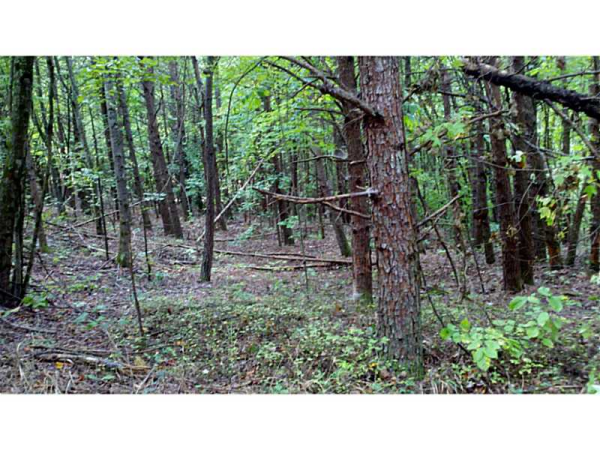 0 Moores Gin Road, Fairmount, GA 30139 