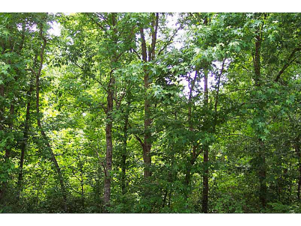 0 Joe Frank Harris Parkway, Adairsville, GA 30103 