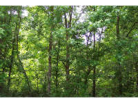 0 Joe Frank Harris Parkway, Adairsville, GA 30103 