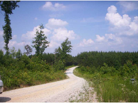 20 Carnes, Buchanan, GA 30113 