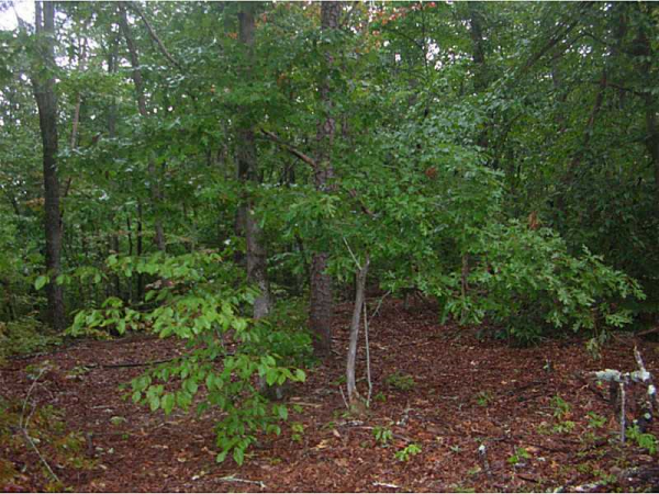 0 Worley Cross Roads Creek, Jasper, GA 30143 