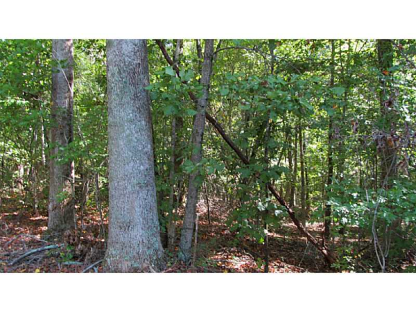 0 Charles Cobb Lane, Canton, GA 30115 