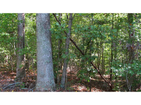 0 Charles Cobb Lane, Canton, GA 30115 