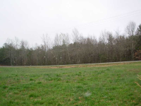 0 Se Corner Hwy 136 And Emma Terrace, Dawsonville, GA 30534 