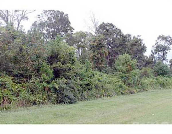 604 US 80 West, Bloomingdale, GA 31302 