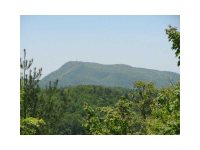 81 N Germany Mountain Road, Clayton, GA 30525 