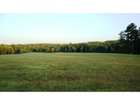 1539 Bear Creek Lot 8 Road, Moreland, GA 30259 