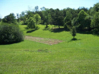 0 Dean Mountain Road, Cleveland, GA 30528 