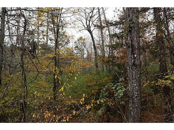 0 Bramblett Shoals Road, Lawrenceville, GA 30045 