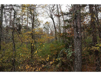 0 Bramblett Shoals Road, Lawrenceville, GA 30045 