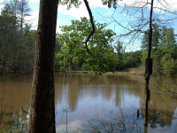 0 Fincher Road, Waleska, GA 30183 