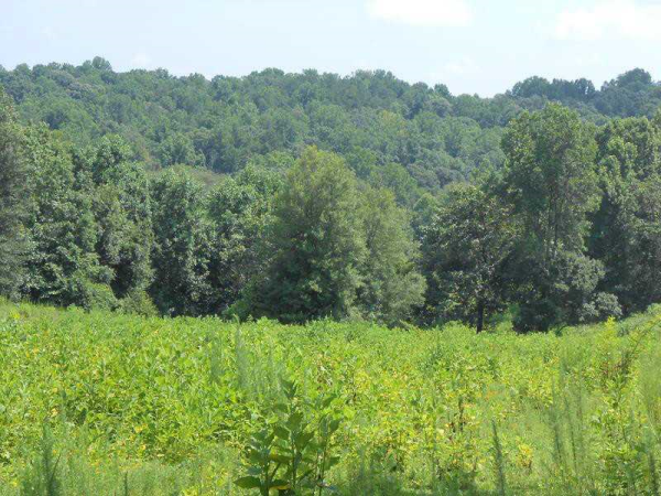 0 S Apple Valley Road, Commerce, GA 30529 