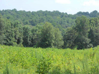 0 S Apple Valley Road, Commerce, GA 30529 