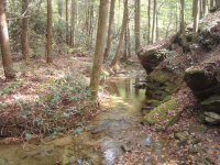 0 Dan Fowler Road, Dawsonville, GA 30533 