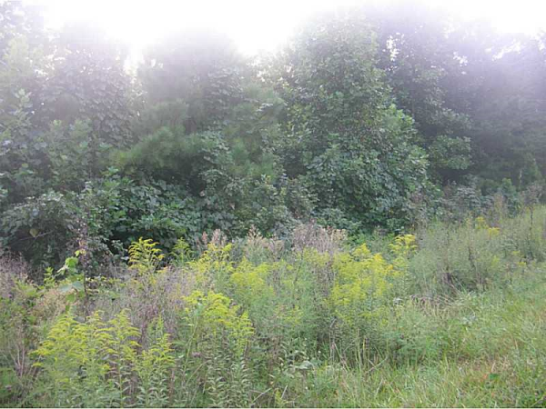 0 Orchard Road, Jasper, GA 30143 