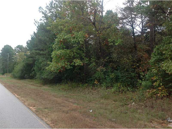0 Etchison Road, Loganville, GA 30052 