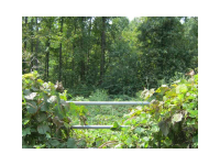 2145 Thomas Road, Canton, GA 30115 