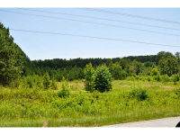 490 Baldwin Road, Cornelia, GA 30531 