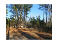 0 Jenkins Road, Palmetto, GA 30268 