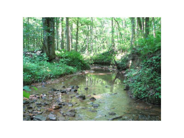 52 Braeburn Lane, Dahlonega, GA 30533 