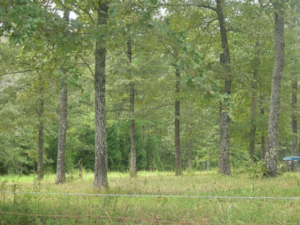 0 Perimeter Road, Dawsonville, GA 30534 