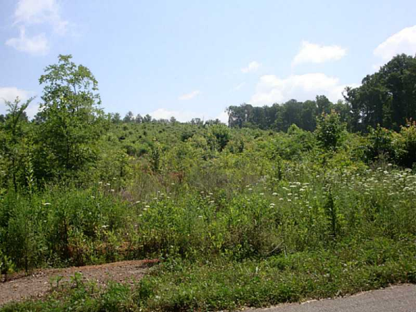 0 Connesena Road, Kingston, GA 30145 