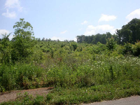 0 Connesena Road, Kingston, GA 30145 