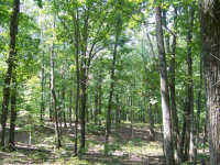 567 Mountain View Circle, Bremen, GA 30110 