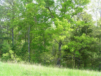 9946 Hickory Flat Highway E, Woodstock, GA 30189 