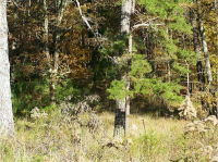 0 Fir Road, Ranger, GA 30734 