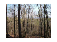 0 Deer Lodge Road, Rydal, GA 30171 