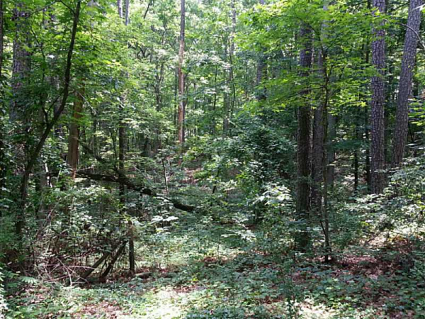 4562 Stonewall Tell Road, Atlanta, GA 30349 