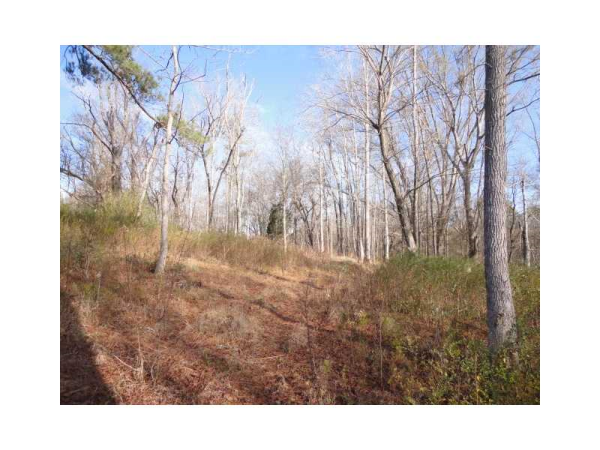 365 Beaverdam Road, Winterville, GA 30683 